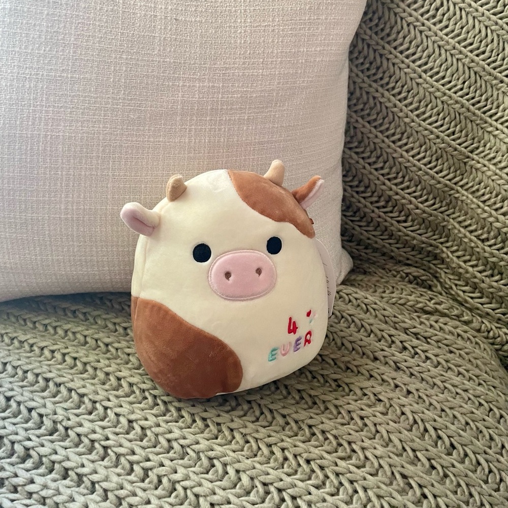 Ronnie Squishmallow